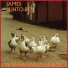 James Puhto-Ren