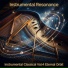 Instrumental Resonance