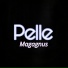 Magagnus