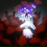 redlycor
