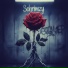 Schrimzy