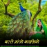 Suresh Choudhary Bishala