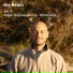 Ary Reisin