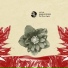 Markantonio