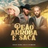 Diego Falcão, Davi e Fernando
