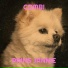 Prins Jannie