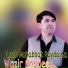 Wazir Pardees