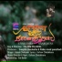 Ajmal Chaliyam