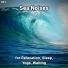 Sea Waves Sounds, Nature Sounds, Ocean Sounds