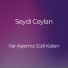 Seydi Ceylan
