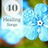 Healing Naturists & Nature Sounds Nature Music