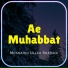 Mushahid Ullah Shadahi