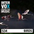 Skydiva, Intervox Music