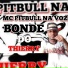 MC Pitbull na Voz