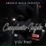 ysi p30