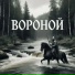 БРОнъ