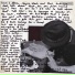 Babyshambles