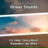 Sea Waves Sounds, Ocean Sounds, Nature Sounds