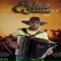 Erlan Forrozão
