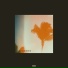 INVISN