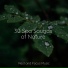Sound Sleeping, Spa Music Collective, Ambientalism