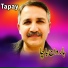 Haroon Bacha