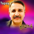 Haroon Bacha