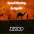 XVI69