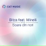 Bitza feat. Minelli - Soare din nori