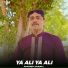 Sagheer Sanwal