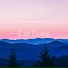 Leo Evans