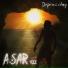 ASAR 102