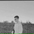 lensky