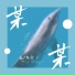 孟庆宇