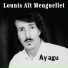 Lounis Aït Menguellet