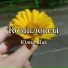 Юлия Шах