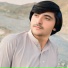 Gull Mashoom Official