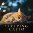 Relaxing Cat Music