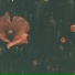 copperplate