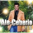 Ale Ceberio