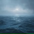 Ephemerum