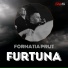 Formatia Prut