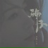山城小艾