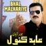 Abid Kanwal