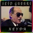 Seid Gabari