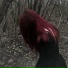 marceline
