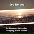 Sea Waves Sounds, Ocean Sounds, Nature Sounds