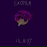 Lil Nixy