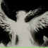 diorelic