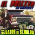 El Pollito De Nayarit feat. Los Gatos De Sinaloa
